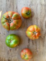 Pomodoro Perbruzzo e Insalataro - immagine 2