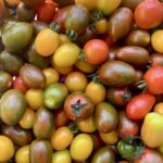 Pomodorino “caramella”